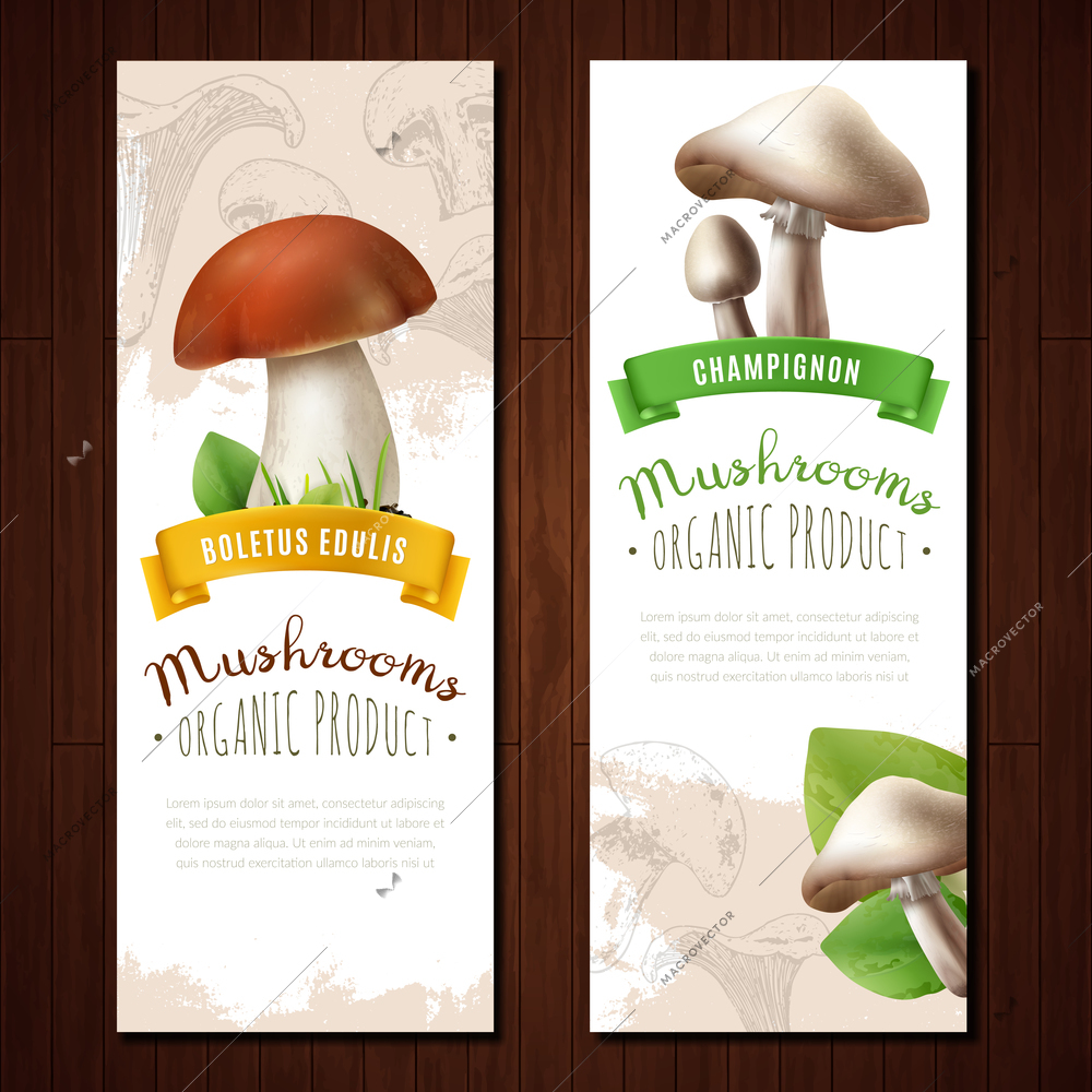 Mushrooms vertical banners set with images of edible boletus and champignons with decorative background and text vector illustration