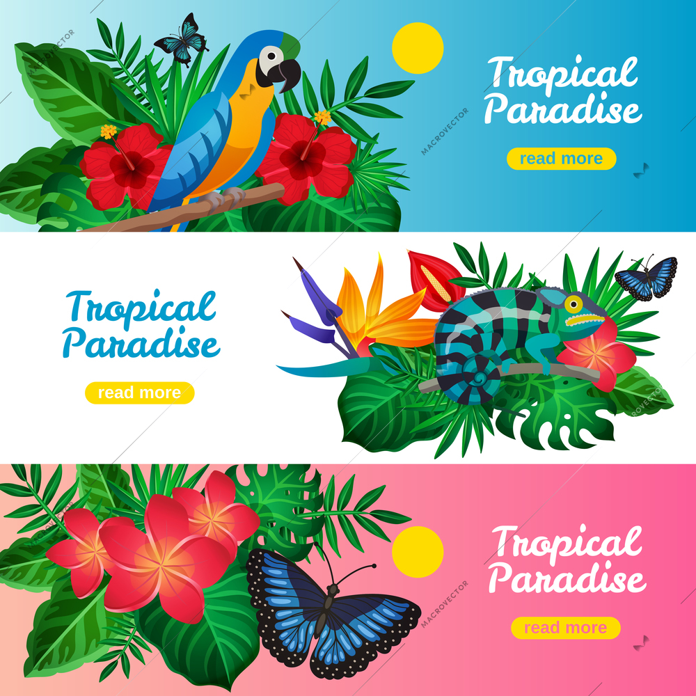 Three colored tropical horizontal banner set with tropical paradise descriptions and read more buttons vector illustration