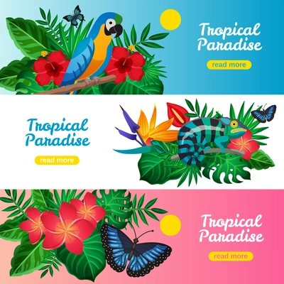 Three colored tropical horizontal banner set with tropical paradise descriptions and read more buttons vector illustration