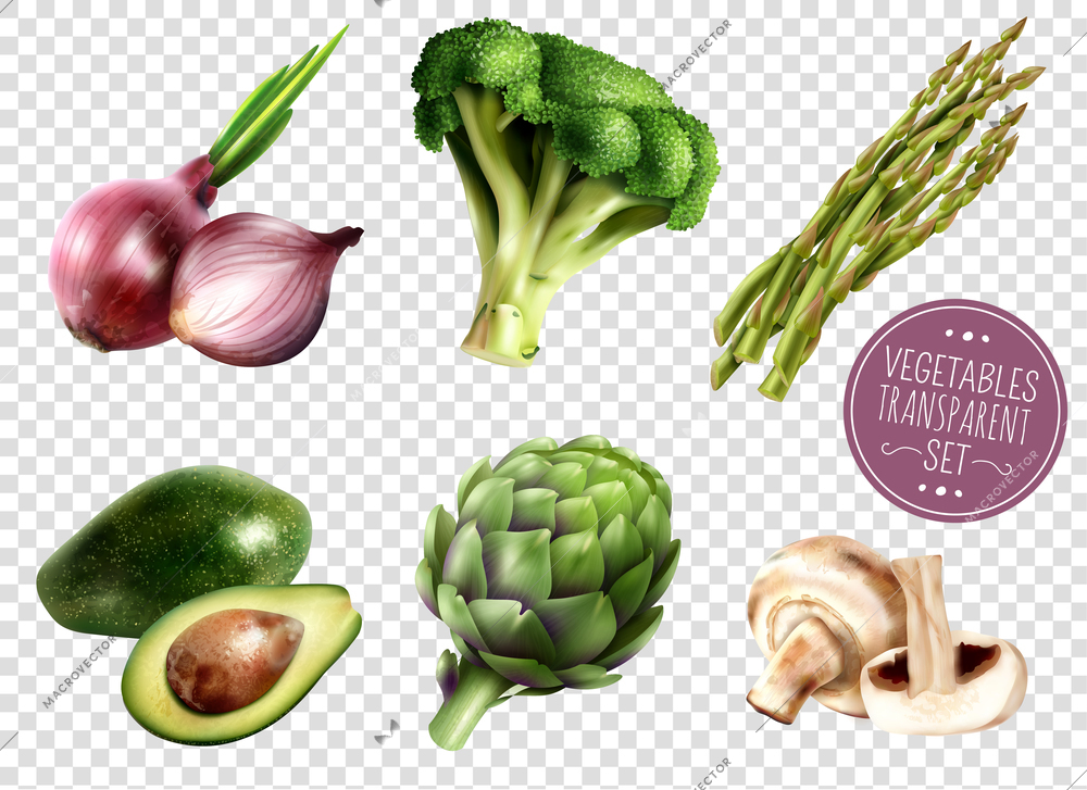 Set of realistic vegetables isolated icons on transparent background with avocado onion broccoli artichoke asparagus mushrooms vector illustration