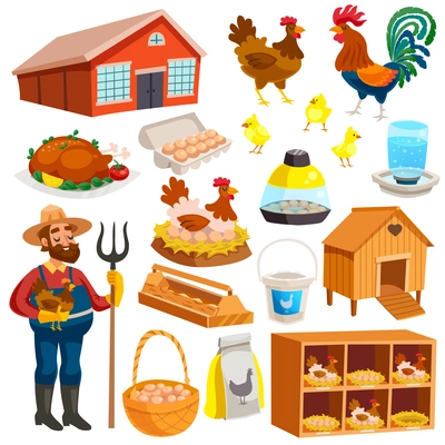 Poultry farm elements set with owner  birds barn coop roost chicken meat and eggs isolated vector illustration