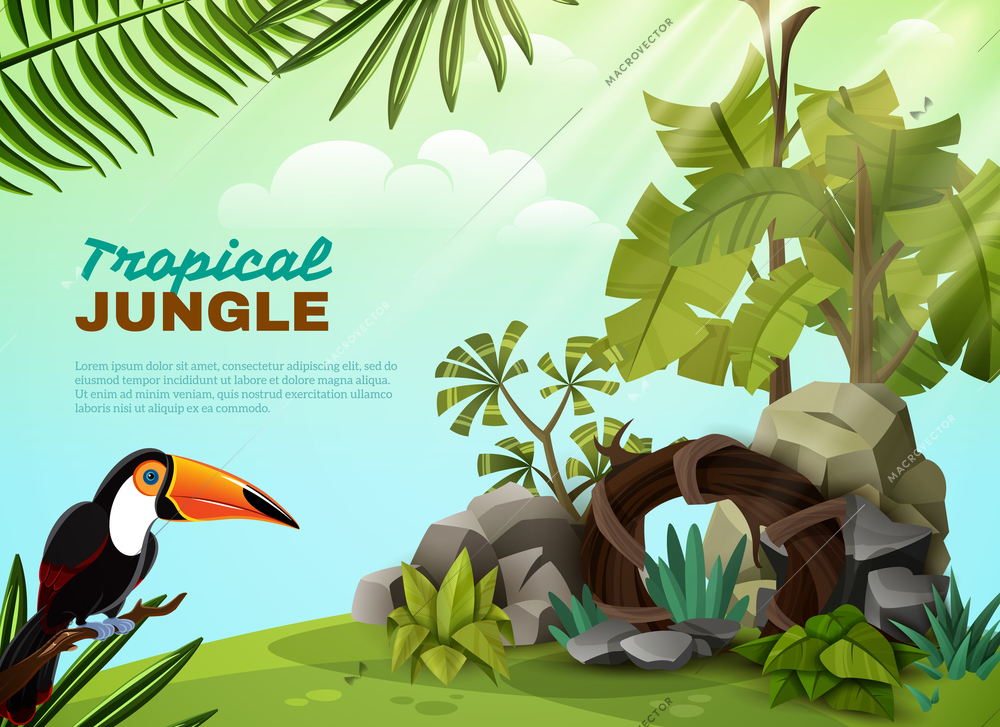 Tropical jungle landscape design composition with rock garden elements toucan bird and plants background poster vector illustration