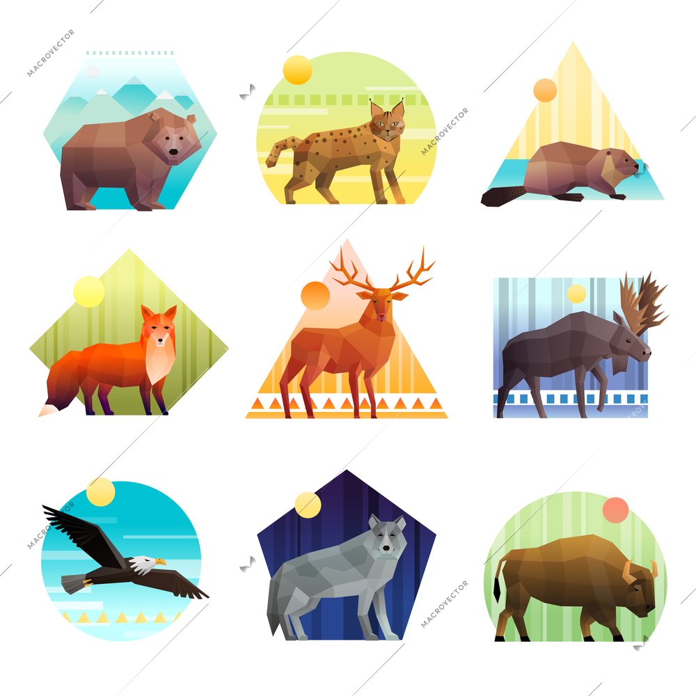 Colorful polygonal emblem of different shape set with wild animals and birds isolated on white background vector illustration