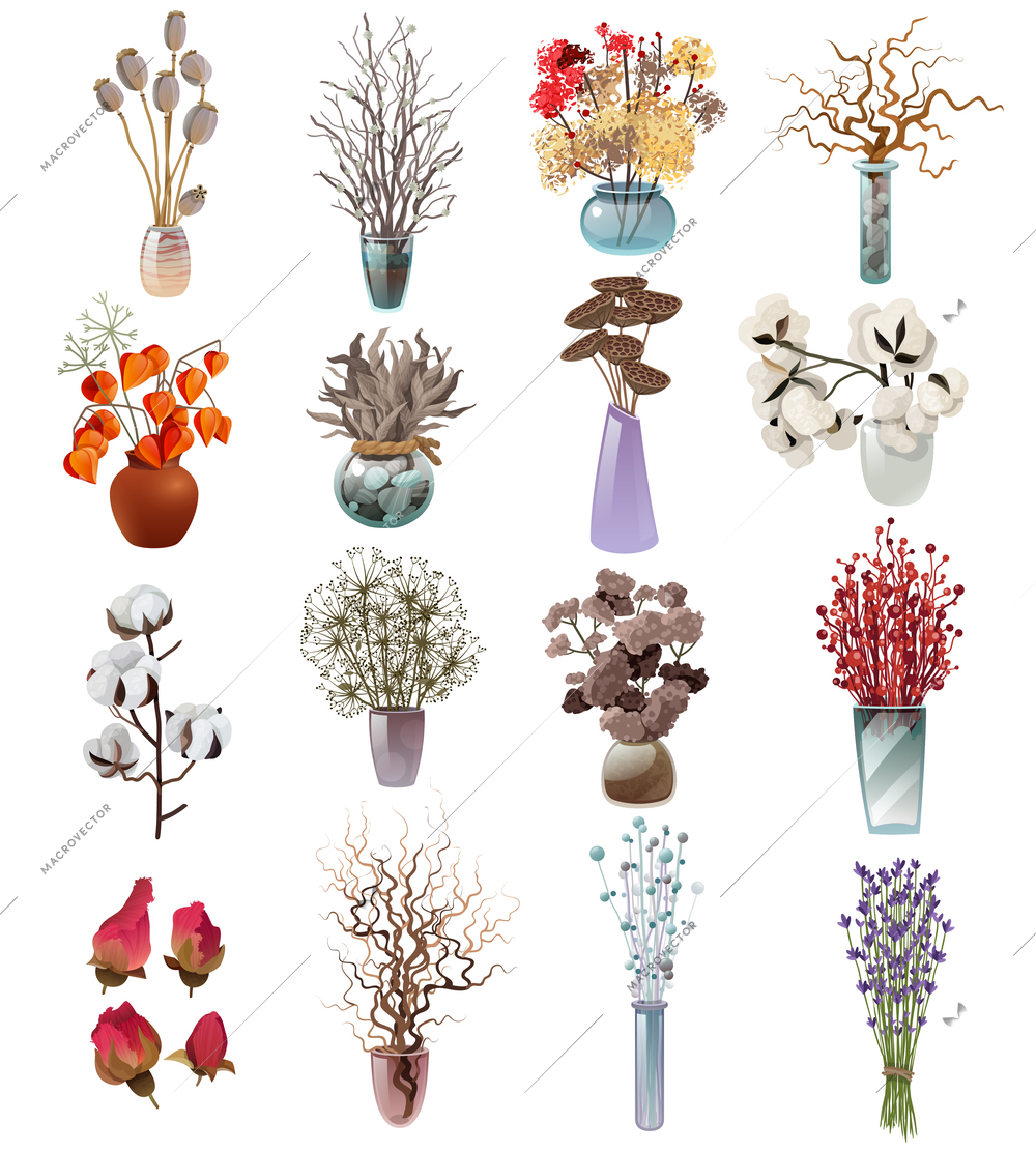 Collection of colorful bouquets in vases of various shapes with dry flowers for designers florists on white background flat vector illustration