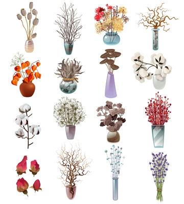 Collection of colorful bouquets in vases of various shapes with dry flowers for designers florists on white background flat vector illustration