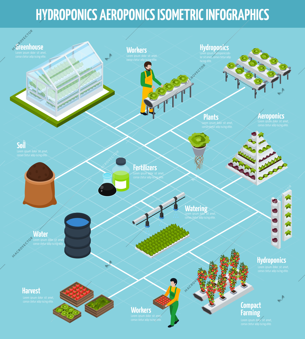 Hydroponics  isometric infographic set with fertilizer watering and farming symbols vector illustration