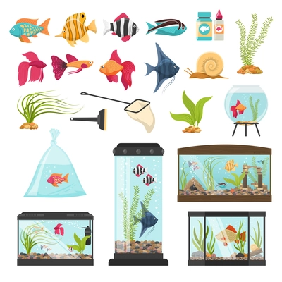 Aquarium set of isolated fish bowls species water plants aquaria tendance equipment and fishfood packaging images vector illustration