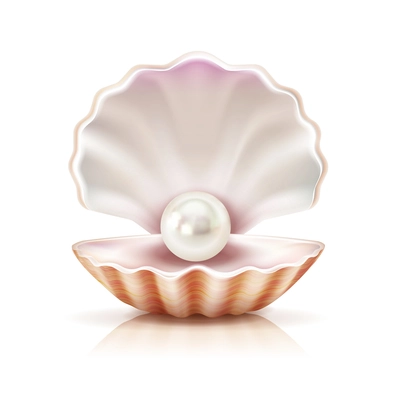 Mother of pearl shining in open shell of freshwater or seashell mollusk closeup realistic image vector illustration