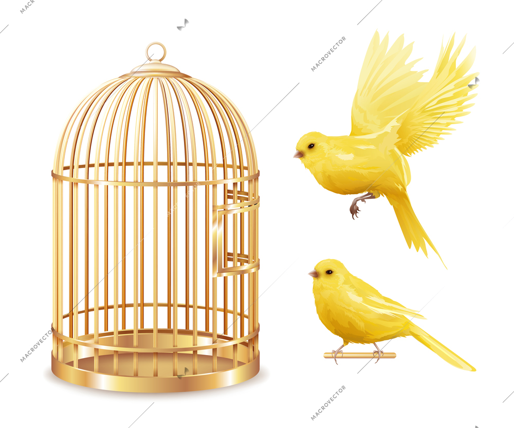 Canary birdcage set of isolated empty gold covered cage and realistic canarybird images on blank background vector illustration