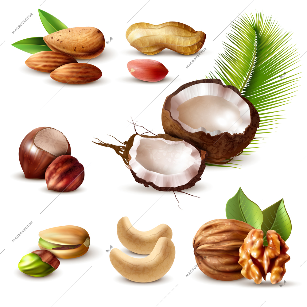 Nuts realistic set with hazelnut, peanut, cashew, walnut, pistachio, coconut, almond and green leaves isolated vector illustration