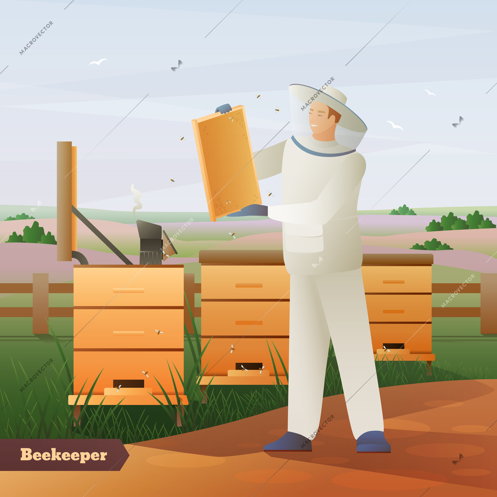 Beekeeper in special outfit with honeycombs in hands near hives on nature background flat composition vector illustration