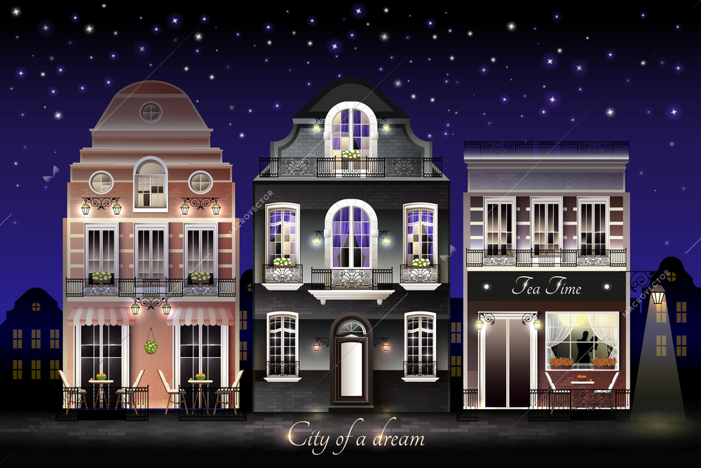 Old european illuminated facade of houses with flowers at balconies on background of starry sky vector illustration