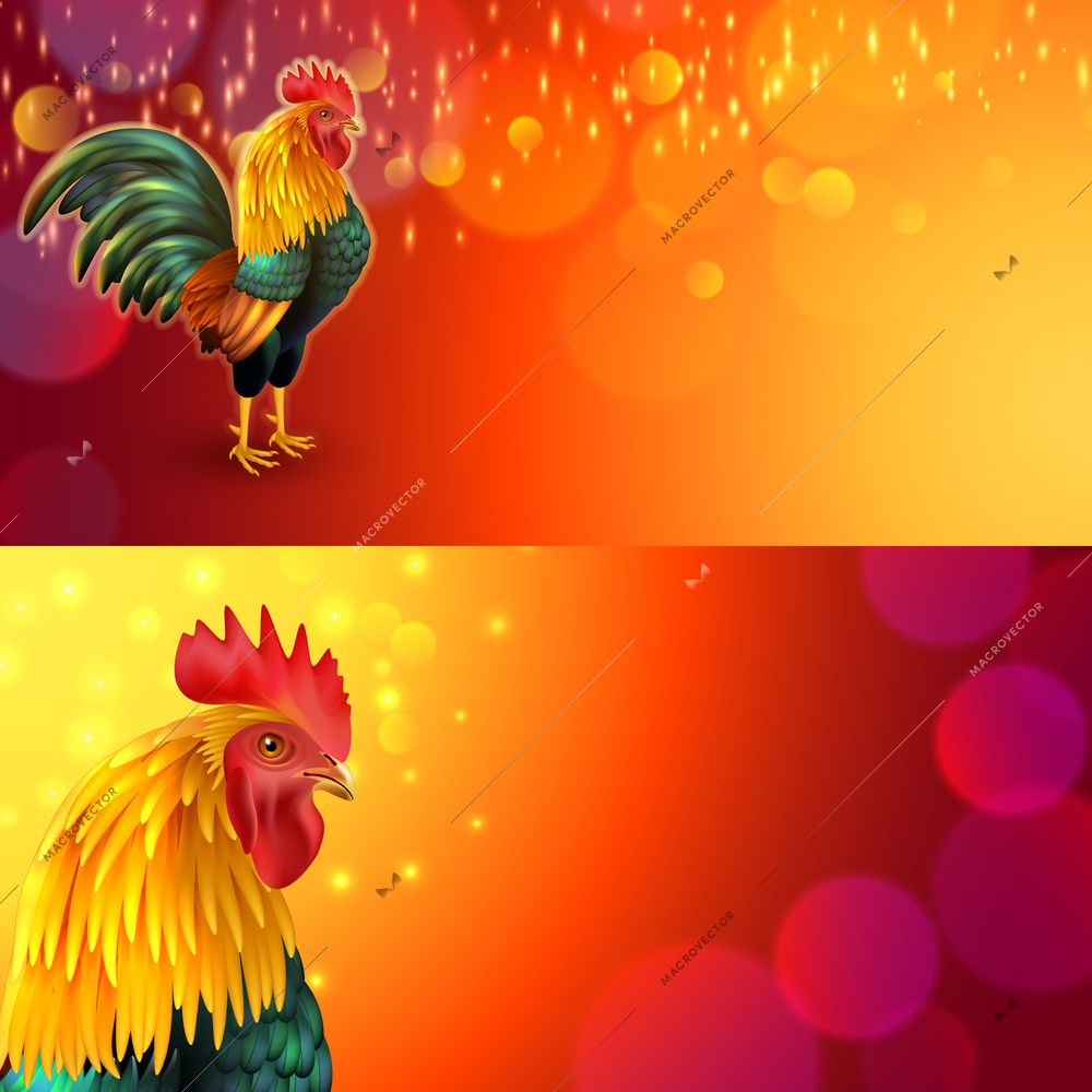 Rooster on festive background horizontal banner set isolated vector illustration