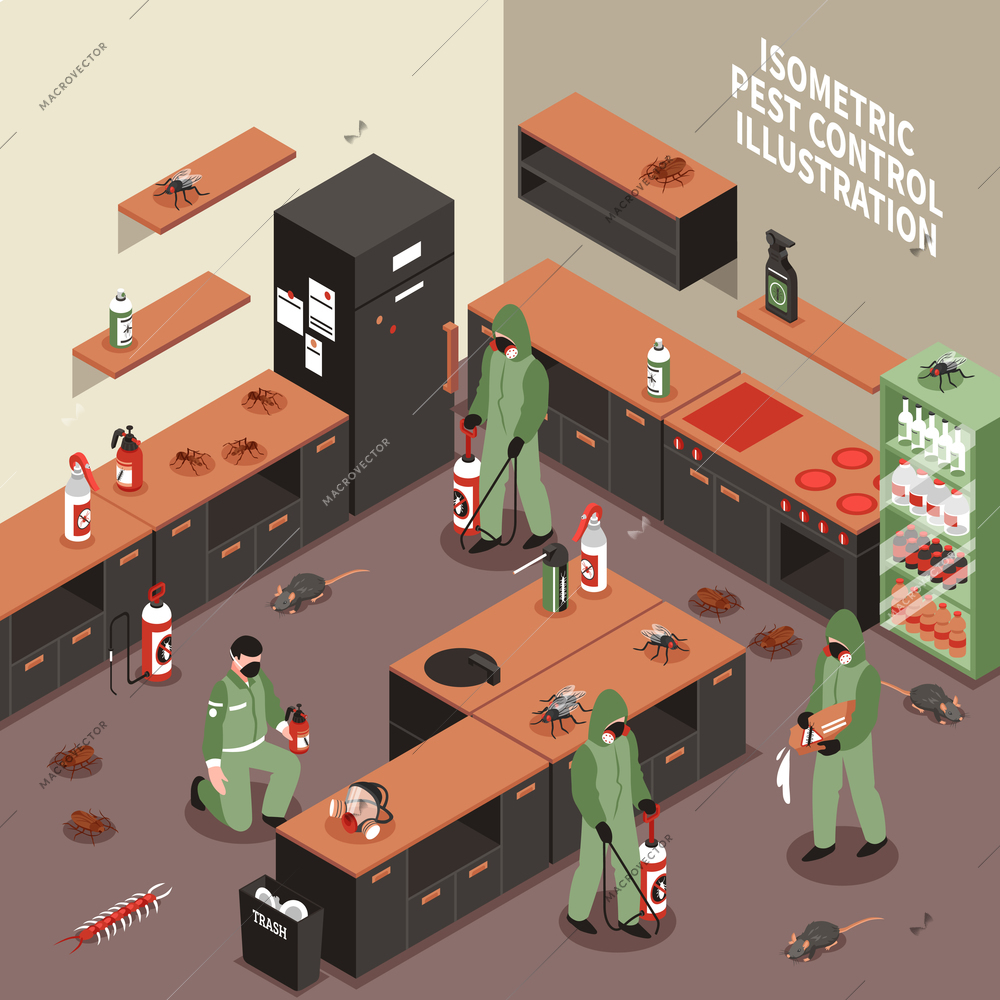 Pest control scene with workers in uniform with equipment insects and rodents kitchen interior isometric vector illustration