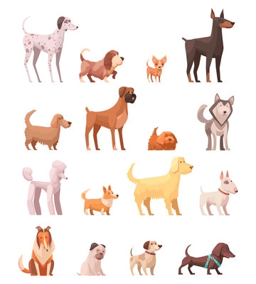 Dog breeds retro cartoon icons collection with husky poedel collie shepherd and dachshund dog isolated vector illustration