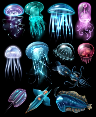 Light and multicolored stylish underwater animals icon set fish different jellyfish and squids vector illustration