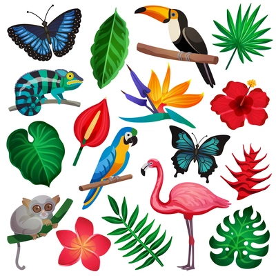 Colored and isolated tropical exotic icon set with representatives of flora and fauna vector illustration