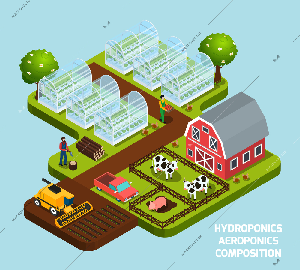 Hydroponics and aeroponics isometric composition with farming and harvest symbols  vector illustration