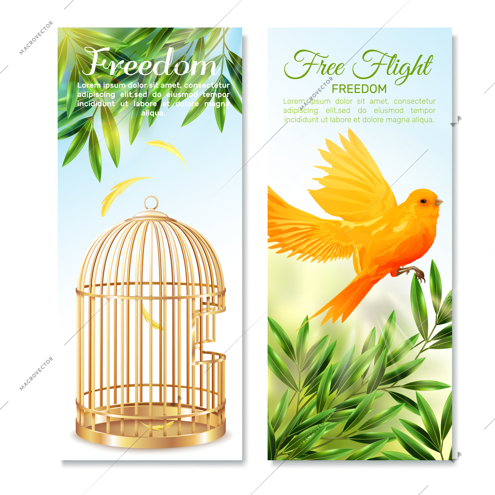 Vertical banners with canary in free flight on green plants and empty open birdcage isolated vector illustration