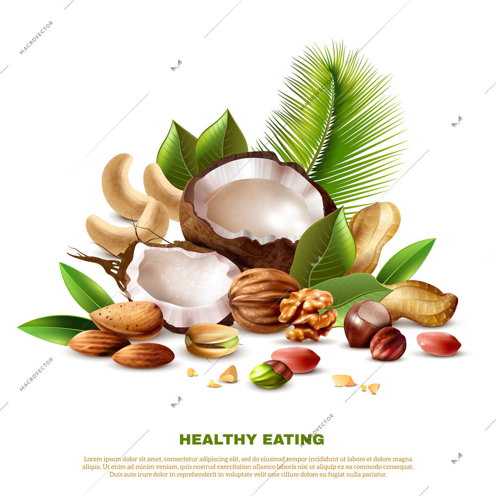 Realistic coconut cashew peanut walnut almond pistachio hazelnut and tree leaves on white background vector illustration