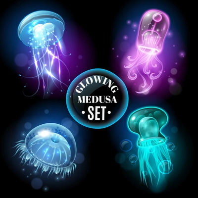 Transparent glowing pink purple blue and turquoise  medusa blubber jellyfish set decorative black background poster vector illustration