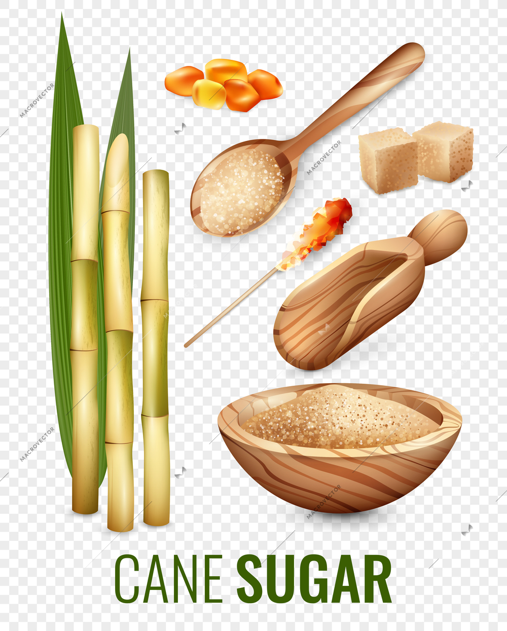 Cane sugar transparent set with spoon and bowl cartoon isolated vector illustration