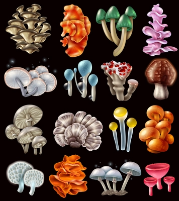 Set of colorful magic mushrooms of various shape causing hallucination on black background isolated vector illustration