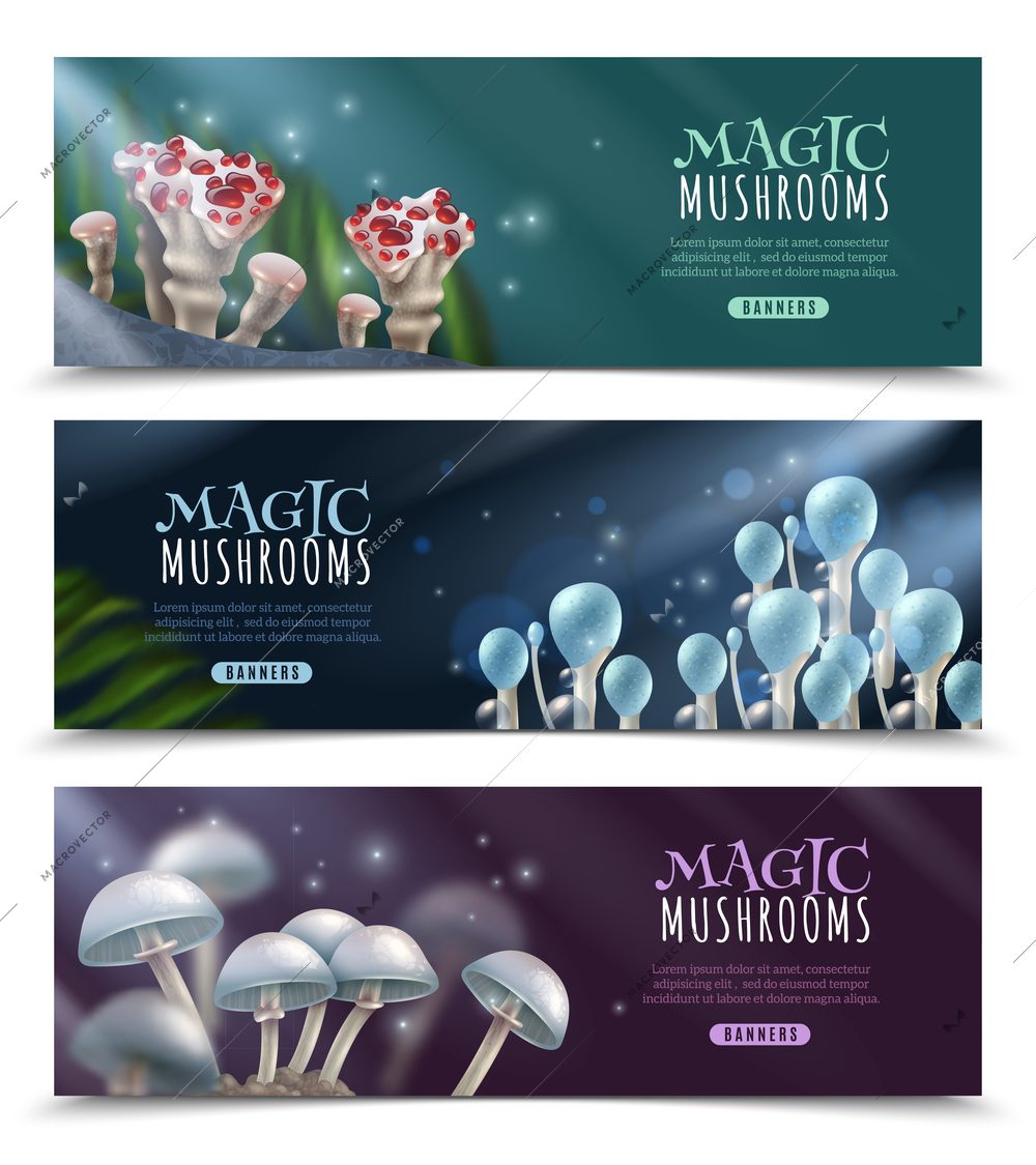 Set of horizontal banners with shiny magic mushrooms and sparks on dark blurred background isolated vector illustration