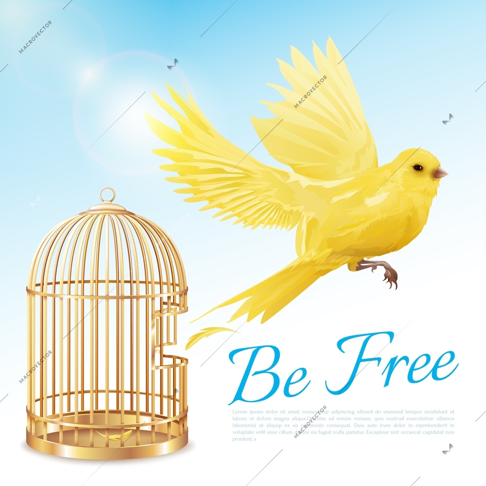 Poster with canary flying from open golden cage and getting freedom on blue white background vector illustration