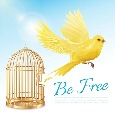 Poster with canary flying from open golden cage and getting freedom on blue white background vector illustration