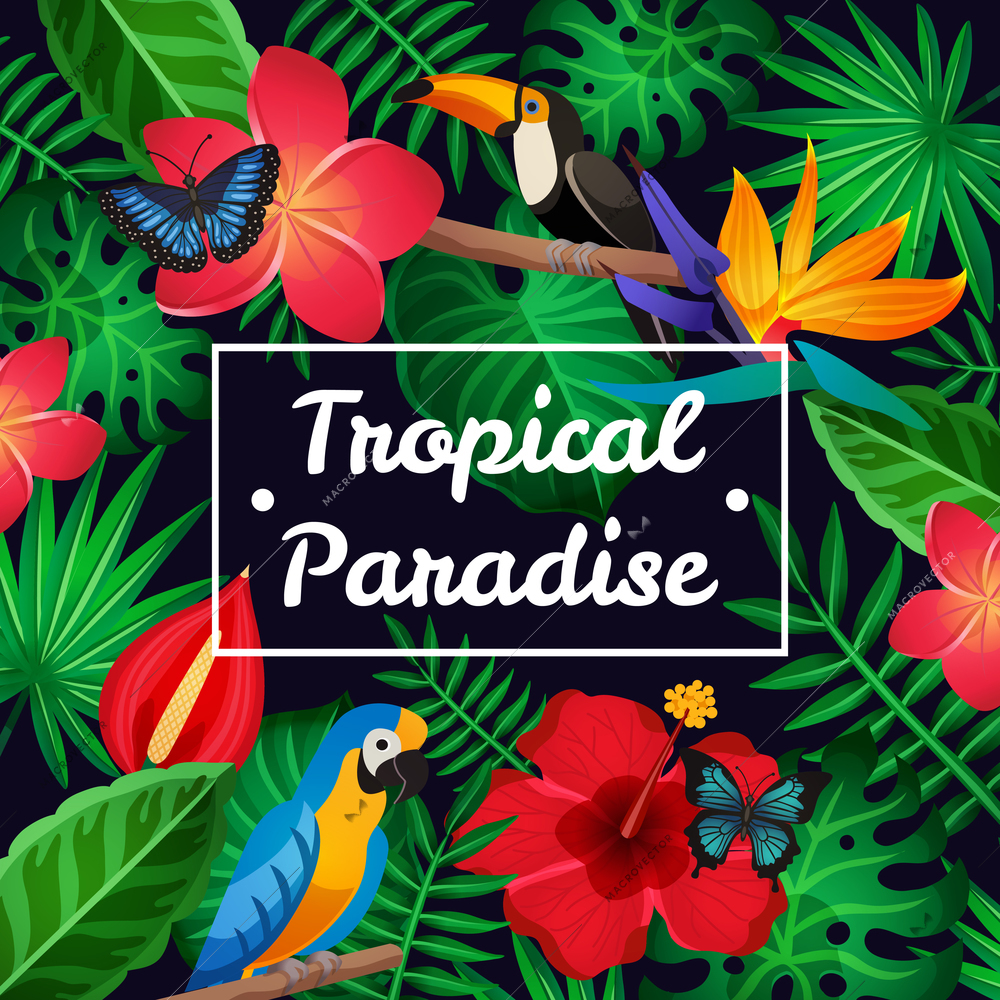 Flat design tropical paradise frame with amazing exotic flowers birds and butterflies vector illustration