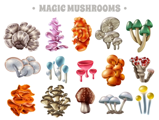 Set of magic mushrooms of various shape and color with bubbles and red droplets isolated vector illustration