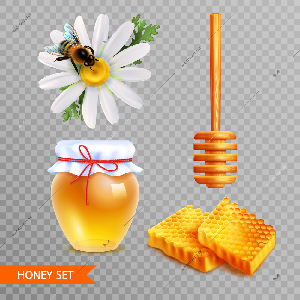 Honey realistic set on transparent  background with two pieces of honeycombs wooden dipper stick glass jar of honey and daisy flower with sitting bee isolated vector illustration