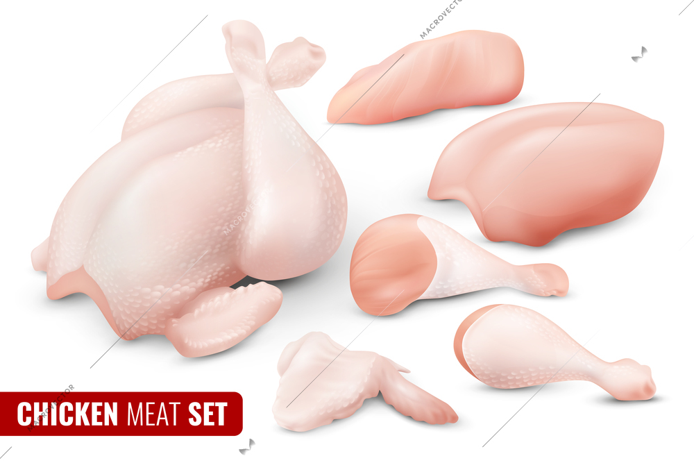 Colored chicken meat icon set with different parts of chicken carcass separated and chopped vector illustration