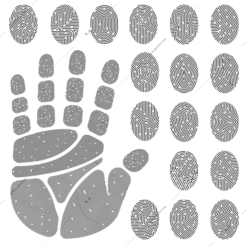 Set of black white prints of fingers and palm with unique details isolated vector illustration