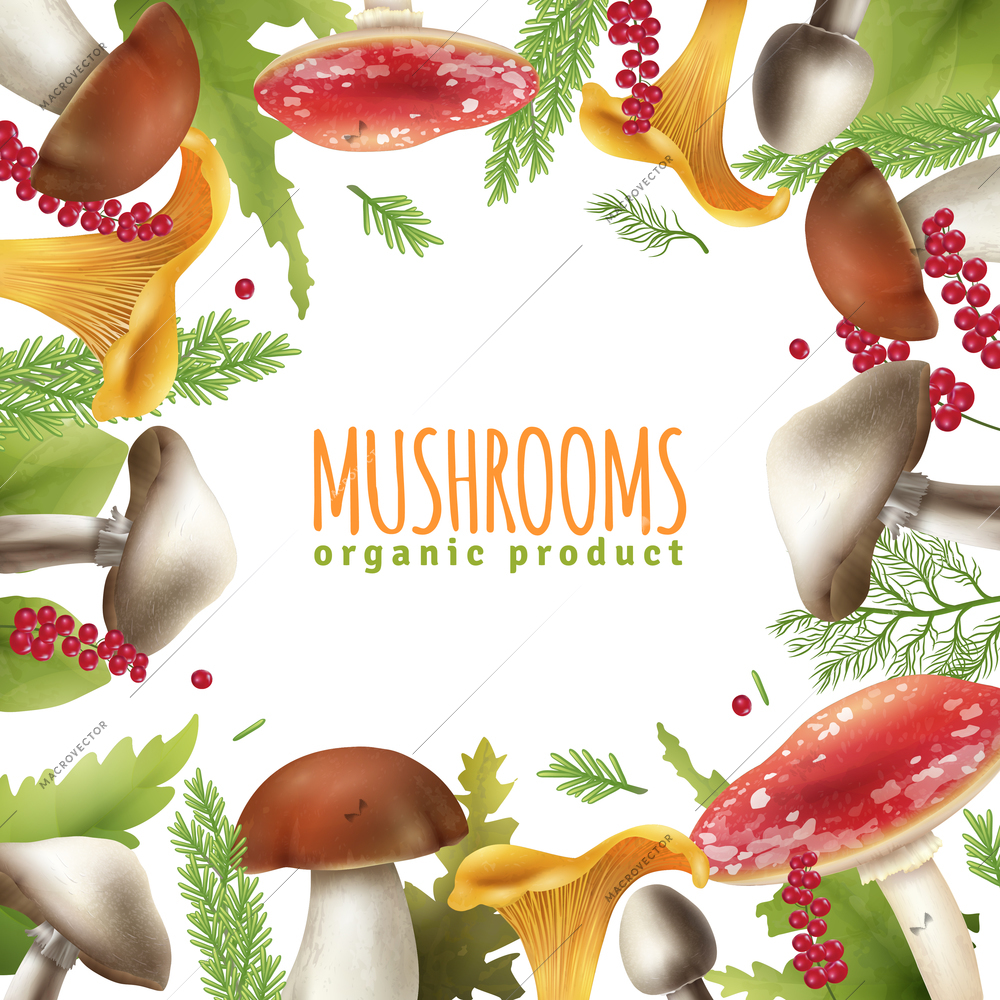 Decorative square frame background poster of wild forest mushrooms edible and poisonous with leaves realistic vector illustration