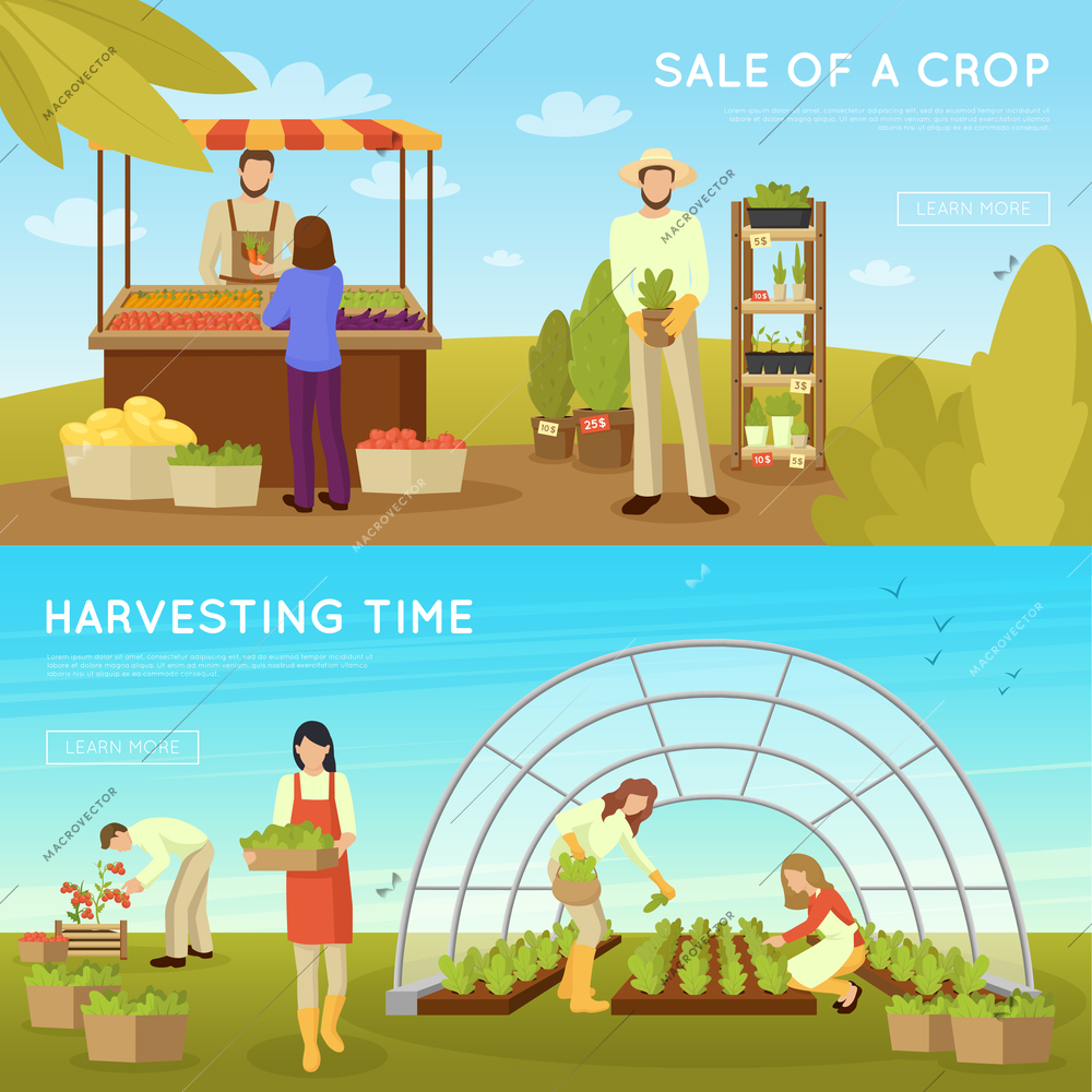 Gardening horizontal banners on blue sky background with sale of crop and harvesting time isolated vector illustration