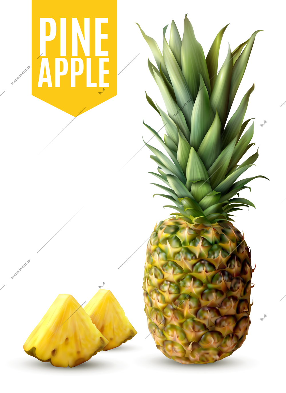 Realistic ripe pineapple and two fresh slices isolated on white background vector illustration