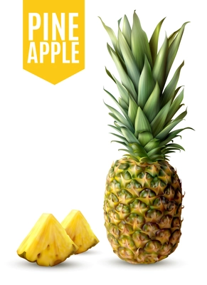 Realistic ripe pineapple and two fresh slices isolated on white background vector illustration