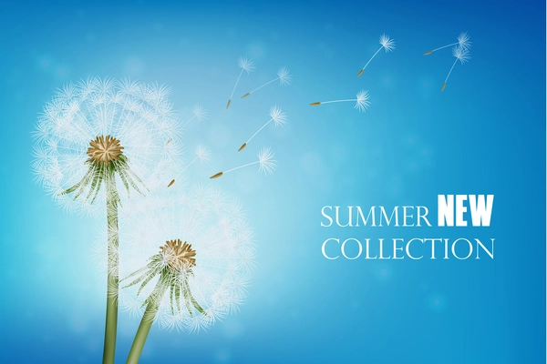 Summer poster with wither dandelion and flying seeds on blue sky background realistic vector illustration