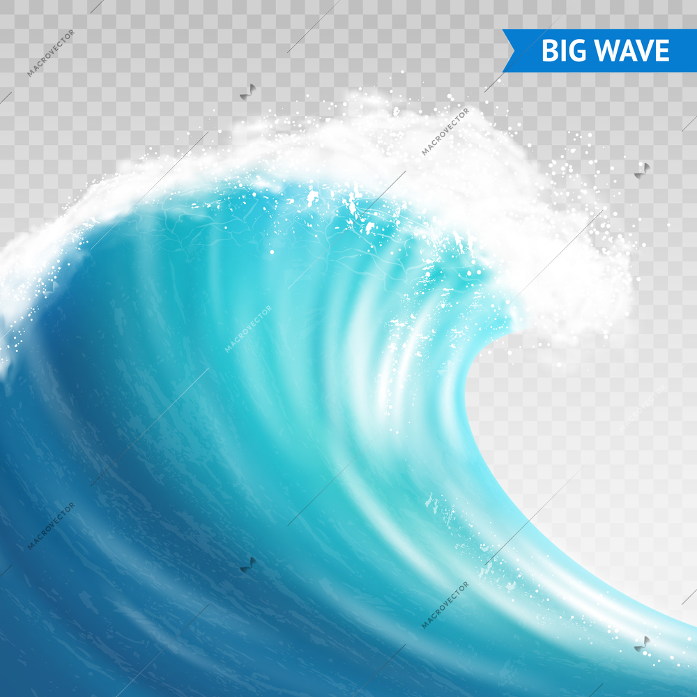 Big sea or ocean wave with spray, foam on crest and reflection on transparent background vector illustration