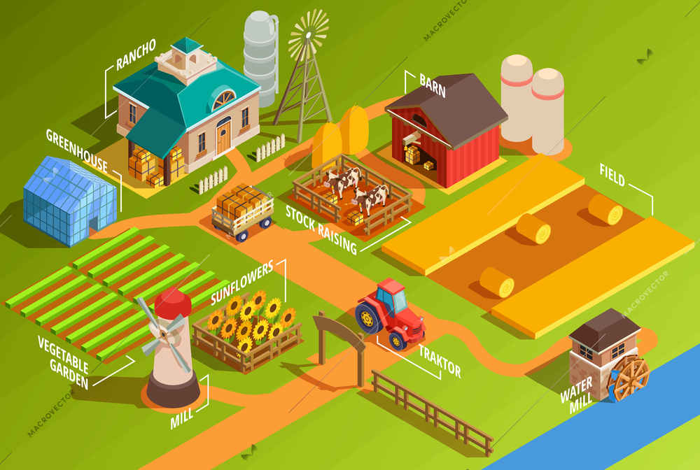 Colorful farm isometric infographics with rural buildings agricultural machinery garden and domestic animals 3d vector illustration