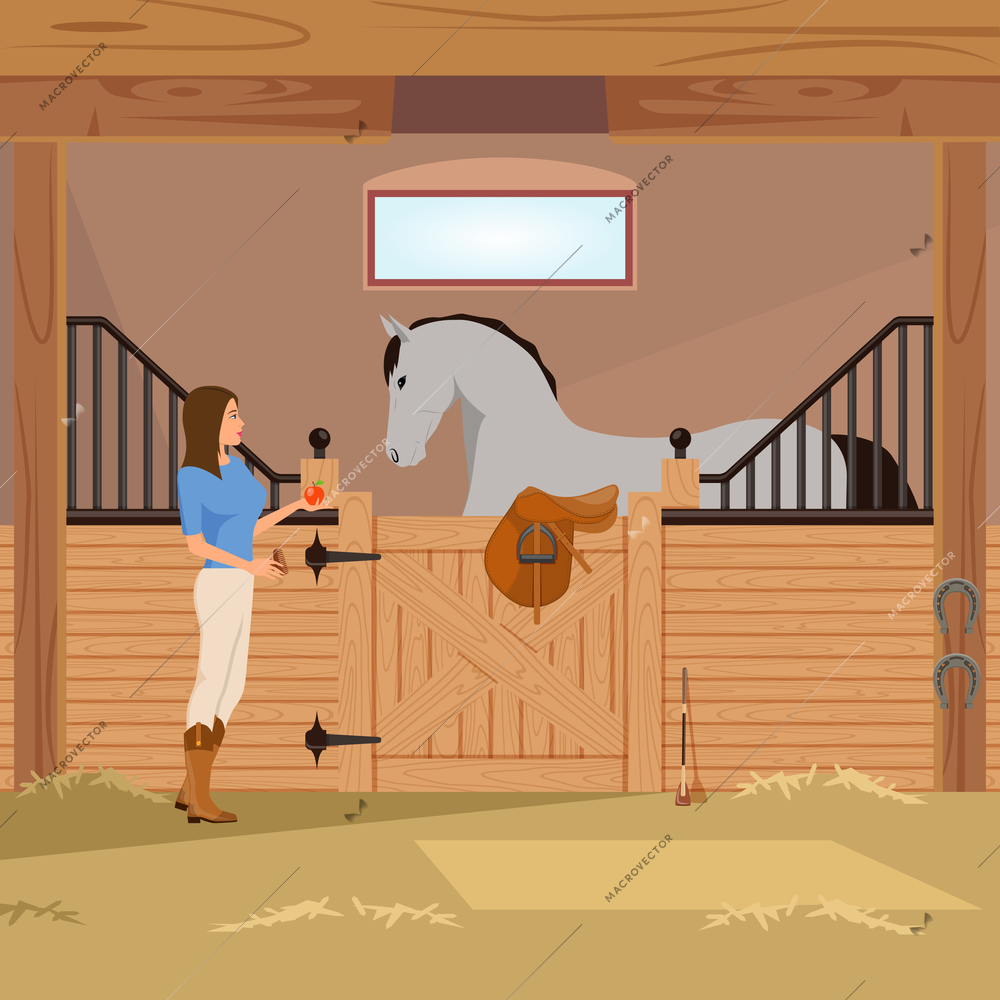 Girl with apple near grey trotter in stall with horseshoes, saddle and whip flat composition vector illustration