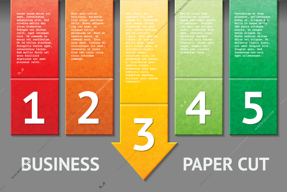 Business paper options cut template vector illustration