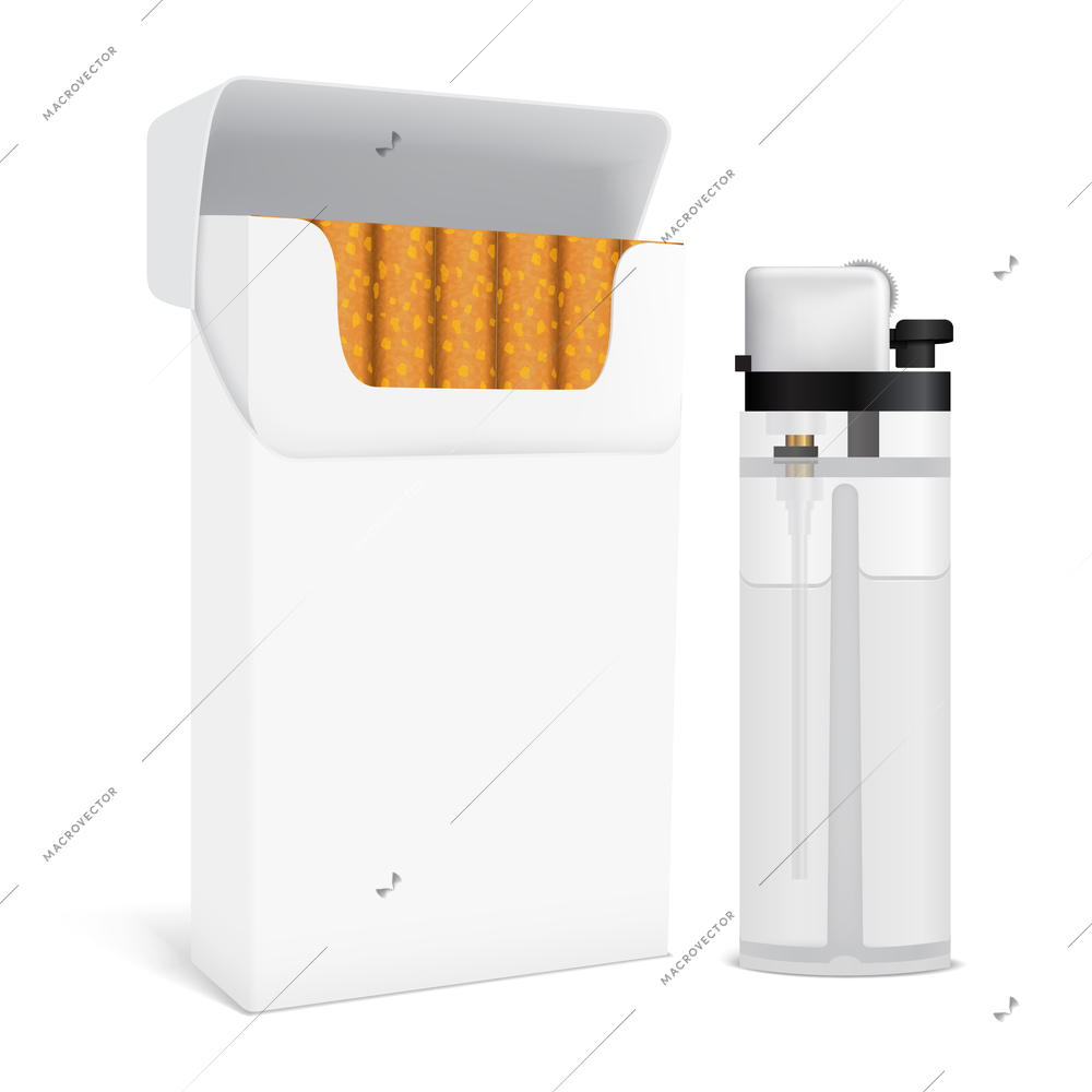 Set for smoking including full open cardboard pack of cigarettes and transparent gas lighter isolated vector illustration