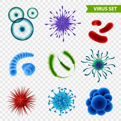 Set of realistic microscopic viruses of various color and shape isolated on transparent background 3d vector illustration