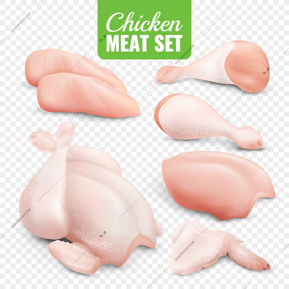 Realistic colored chicken meat transparent icon set with fresh pieces of chicken vector illustration