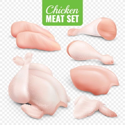 Realistic colored chicken meat transparent icon set with fresh pieces of chicken vector illustration