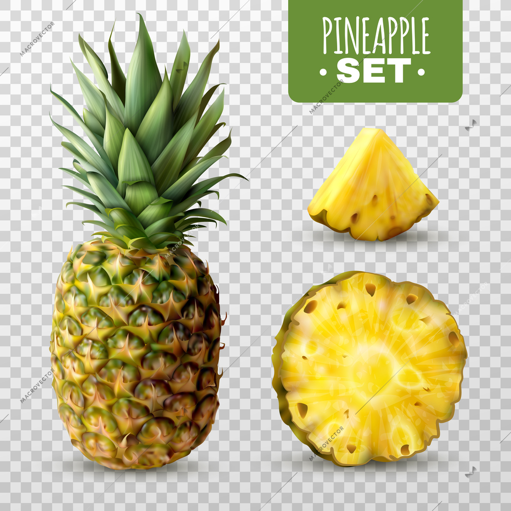 Fresh ripe sliced pineapple set isolated on transparent background realistic vector illustration