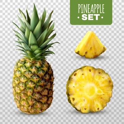 Fresh ripe sliced pineapple set isolated on transparent background realistic vector illustration